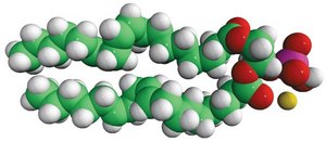 18:2 PA 1,2-dilinoleoyl-sn-glycero-3-phosphate (sodium salt), chloroform