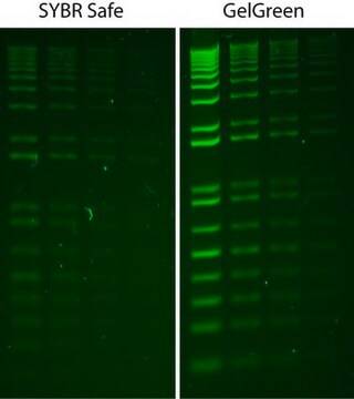 GelGreen&#174;核酸染色剂10000X水 GelGreen is a fluorescent nucleic acid stain designed to replace the highly toxic ethidium bromide (EtBr) for staining dsDNA, ssDNA or RNA in agarose gels or polyacrylamide gels.