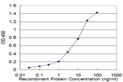 Monoclonal Anti-UCHL1 antibody produced in mouse clone S1, purified immunoglobulin, buffered aqueous solution