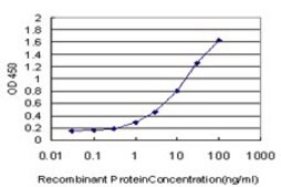 ANTI-STAT5B antibody produced in mouse clone 1F5, purified immunoglobulin, buffered aqueous solution