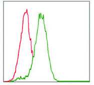 Monoclonal Anti-CYP3A4 antibody produced in mouse clone 3H8, purified immunoglobulin, buffered aqueous solution