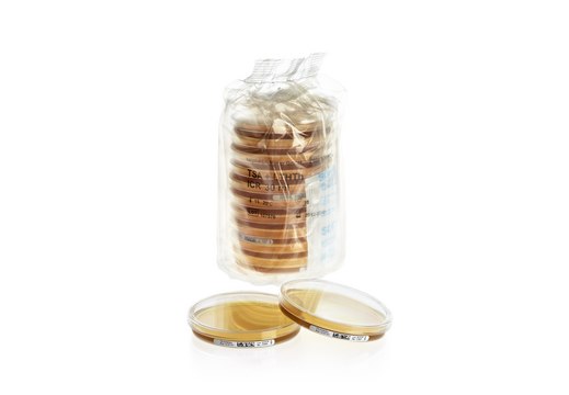 Tryptic Soy Agar - Ready-to-use Settle Plates IsoBag®, Sodium thiosulfate, Tween®, Lecithin, Histidine, 190 mm alpha-port ICR plate, sterile; irradiated, plate diam. 90 mm, suitable for air monitoring