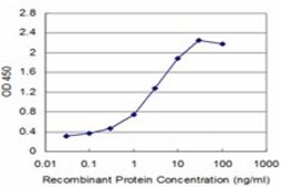 Monoclonal Anti-SMARCA2 antibody produced in mouse clone 2D12, purified immunoglobulin, buffered aqueous solution