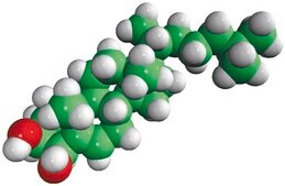 4β-hydroxycholesterol Avanti Research™ - A Croda Brand