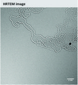 Monolayer graphene film 1 cm x 1 cm on copper foil, with PMMA coating, avg. no. of layers, 1