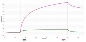Anti-LATS2 Antibody, clone 1L5 ZooMAb® Rabbit Monoclonal recombinant, expressed in HEK 293 cells