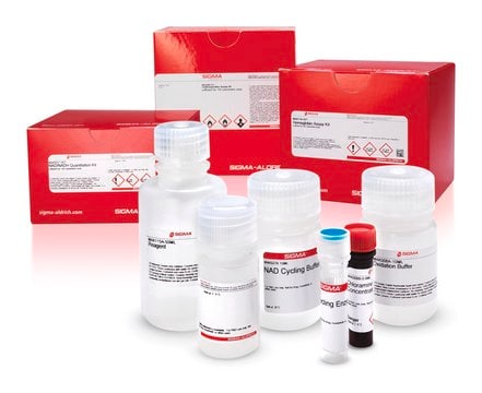 胰蛋白酶活性检测试剂盒（比色法） sufficient for 100&nbsp;colorimetric tests