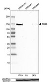 抗-CD68 兔抗 Prestige Antibodies® Powered by Atlas Antibodies, affinity isolated antibody, buffered aqueous glycerol solution