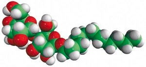 n-dodecyl-β-D-maltoside (DDM) Avanti Research™ - A Croda Brand