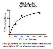ITK active rat recombinant, expressed in baculovirus infected Sf9 cells, ≥58% (SDS-PAGE)