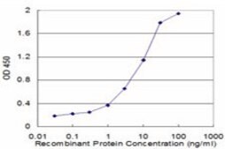 Monoclonal Anti-CALCR, (C-terminal) antibody produced in mouse clone 2F7, purified immunoglobulin, buffered aqueous solution
