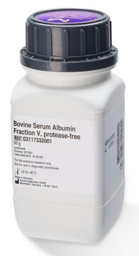 牛血清白蛋白组分V，不含蛋白酶 from bovine serum