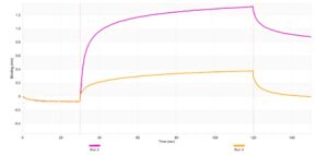 Anti-CD130/IL-6RB Antibody, clone 2I13 ZooMAb® Rabbit Monoclonal recombinant, expressed in HEK 293 cells