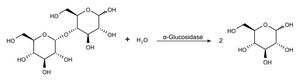 α-Glucosidase from Saccharomyces cerevisiae Type I, lyophilized powder, ≥10 units/mg protein (using p-nitrophenyl α-D-glucoside as substrate.)