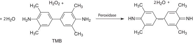 3,3′,5,5′-四甲基联苯胺 (TMB) 液体底物体系 peroxidase substrate