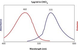 Egg NBD PE Avanti Research™ - A Croda Brand 810118C
