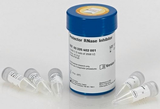 Protector RNase抑制剂