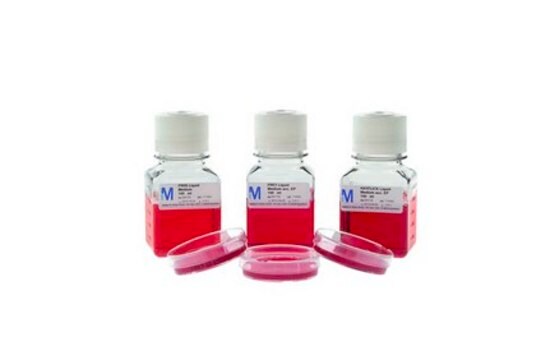 FREY Liquid Medium for mycoplasma, suitable for sterility testing, pkg of 100&#160;mL (in 125 mL plastic bottle with screw cap)