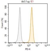 Anti-ST2/IL-33R Antibody, clone RMST-2 ZooMAb® Rat Monoclonal recombinant, expressed in HEK 293 cells