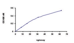 PTPN12 (1-355), active, GST tagged human recombinant, expressed in E. coli, ≥70% (SDS-PAGE), buffered aqueous glycerol solution