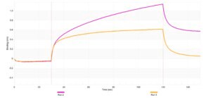 Anti-WNT3A Antibody, clone 2I8 ZooMAb® Rabbit Monoclonal recombinant, expressed in HEK 293 cells
