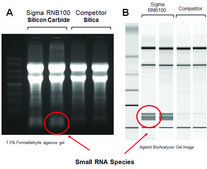 GenElute™ Total RNA Purification Kit