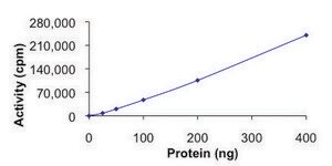 EGFR (L861Q), active, GST tagged human PRECISIO®, recombinant, expressed in baculovirus infected Sf9 cells, ≥70% (SDS-PAGE), buffered aqueous glycerol solution