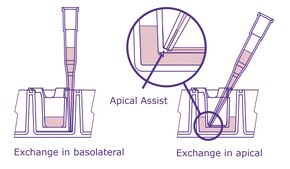 Millicell® 6 well hanging cell culture inserts pore size 1.0 μm, translucent PET membrane, diam. 24 mm, Tissue Culture (TC)-treated surface, sterile