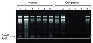 植物/真菌RNA纯化试剂盒 sufficient for 50 purifications