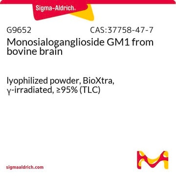 Monosialoganglioside GM1 from bovine brain lyophilized powder, BioXtra, γ-irradiated, ≥95% (TLC)