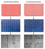 Cell Comb™ Scratch Assay