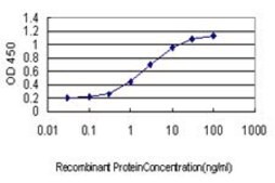 Monoclonal Anti-TNP1 antibody produced in mouse clone 1B5, purified immunoglobulin, buffered aqueous solution