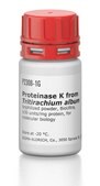 Proteinase K from Tritirachium album lyophilized powder, Molecular Biology, BioUltra, ≥30 units/mg protein