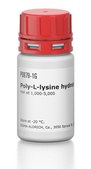 Poly-L-lysine hydrobromide mol wt 1,000-5,000