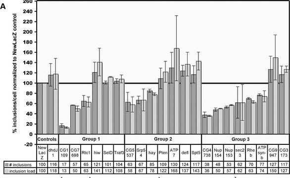 抗-亨廷顿蛋白抗体，克隆mEM48 culture supernatant, clone mEM48, Chemicon®