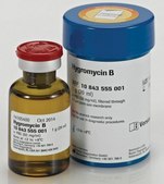 Hygromycin B from Streptomyces hygroscopicus