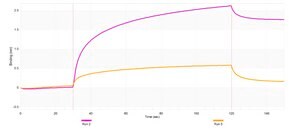 Anti-ASPA Antibody, clone 1F21 ZooMAb® Rabbit Monoclonal recombinant, expressed in HEK 293 cells