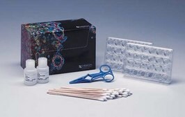 QCM Collagen Cell Invasion Assay, 24-well (8 µm), Colorimetric The Cell Invasion Assay Kit kuses a 24 well plate with 8 um pores, which is ideal for evaluation of invasive tumor cells.