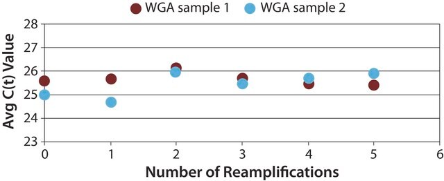 GenomePlex&#174; WGA再扩增试剂盒 Reamplification of WGA product with minimal bias