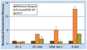 X-tremeGENE™ HP DNA Transfection Reagent High-performance polymer reagent for transfecting many cell lines
