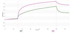 Anti-HNRNPK Antibody, clone 2C9 ZooMAb® Rabbit Monoclonal recombinant, expressed in HEK 293 cells