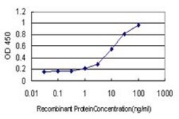 Monoclonal Anti-LAMC1 antibody produced in mouse clone 2E6-B4, purified immunoglobulin, buffered aqueous solution