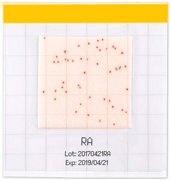 MC-Media Pad® RAC for aerobic bacteria, ready-to-use, pack of 4 × 25 pieces