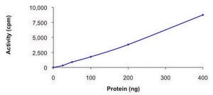 LATS1, active, GST tagged human PRECISIO®, recombinant, expressed in baculovirus infected Sf9 cells, ≥70% (SDS-PAGE), buffered aqueous glycerol solution