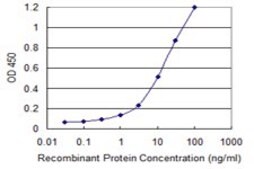 Monoclonal Anti-IL18RAP antibody produced in mouse clone 4G4, purified immunoglobulin, buffered aqueous solution
