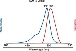 TopFluor™ PE Avanti Research™ - A Croda Brand 810282C