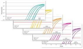 KAPA PROBE FAST suitable for qPCR, 2 ×, Universal