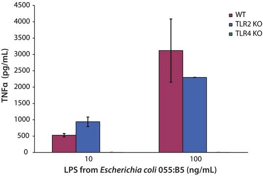 Lipopolysaccharides from Escherichia coli O55:B5 purified by ion-exchange chromatography, TLR ligand tested
