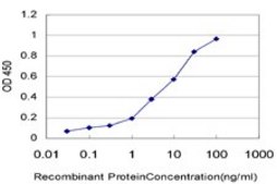 Monoclonal Anti-KCNQ5 antibody produced in mouse clone 2E2, purified immunoglobulin, buffered aqueous solution