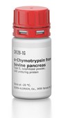 α-Chymotrypsin from bovine pancreas Type II, lyophilized powder, ≥40 units/mg protein